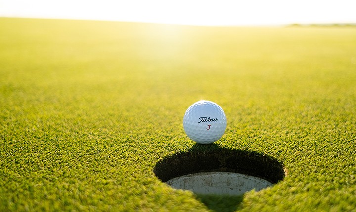 golf ball next to golf cup